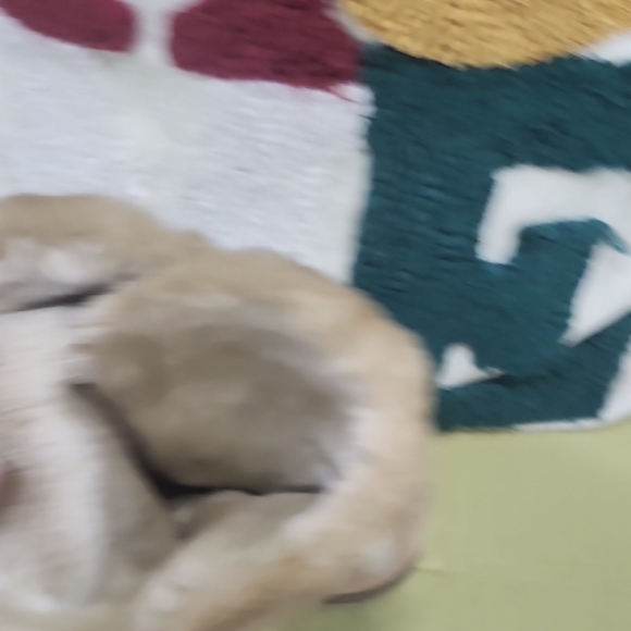 Bass Women's Tan Suede Boots with Faux Fur Lining - Picture 5 of 13